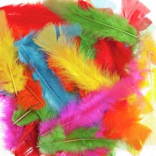 Feathers: Assorted - Choice of Assortments