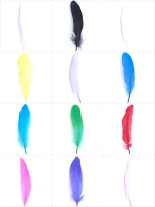 Feathers: Goose - Full Range of Colours